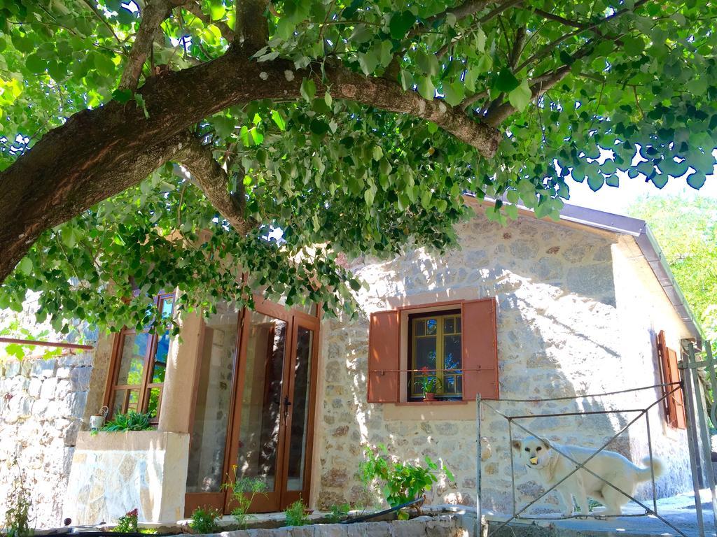Ethno House Ivanovic Virpazar Exterior foto
